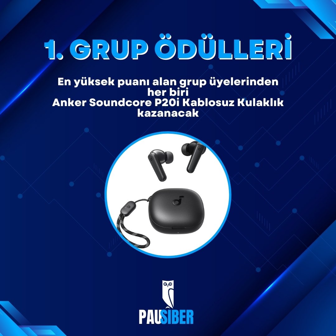 PaüSiber tweet media