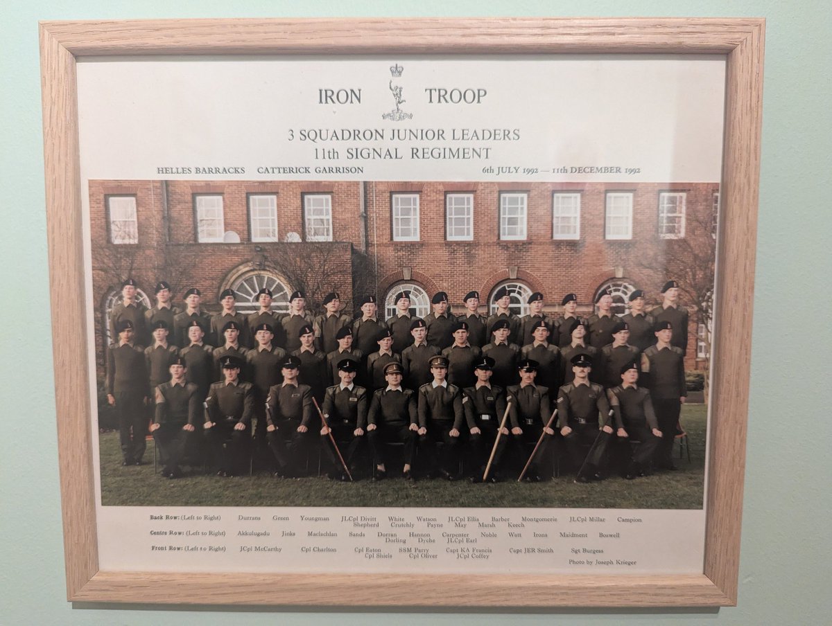 🌱TimMZ🌱 tweet media