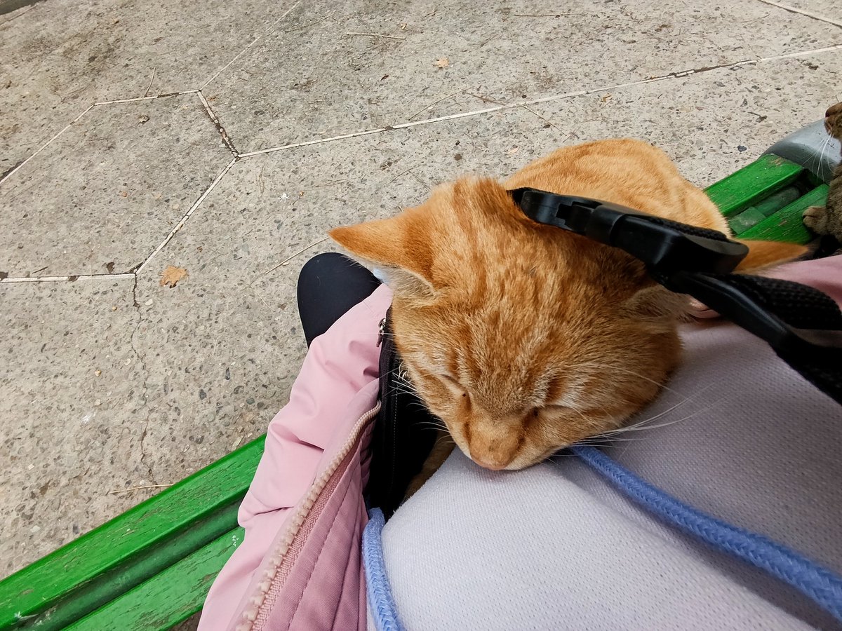 سهم بغل امروز😍😍🤗