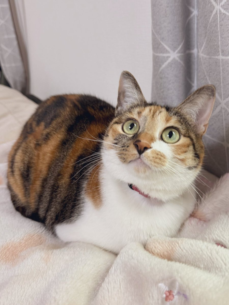 う～～ん🥴可愛い！！！！！！！