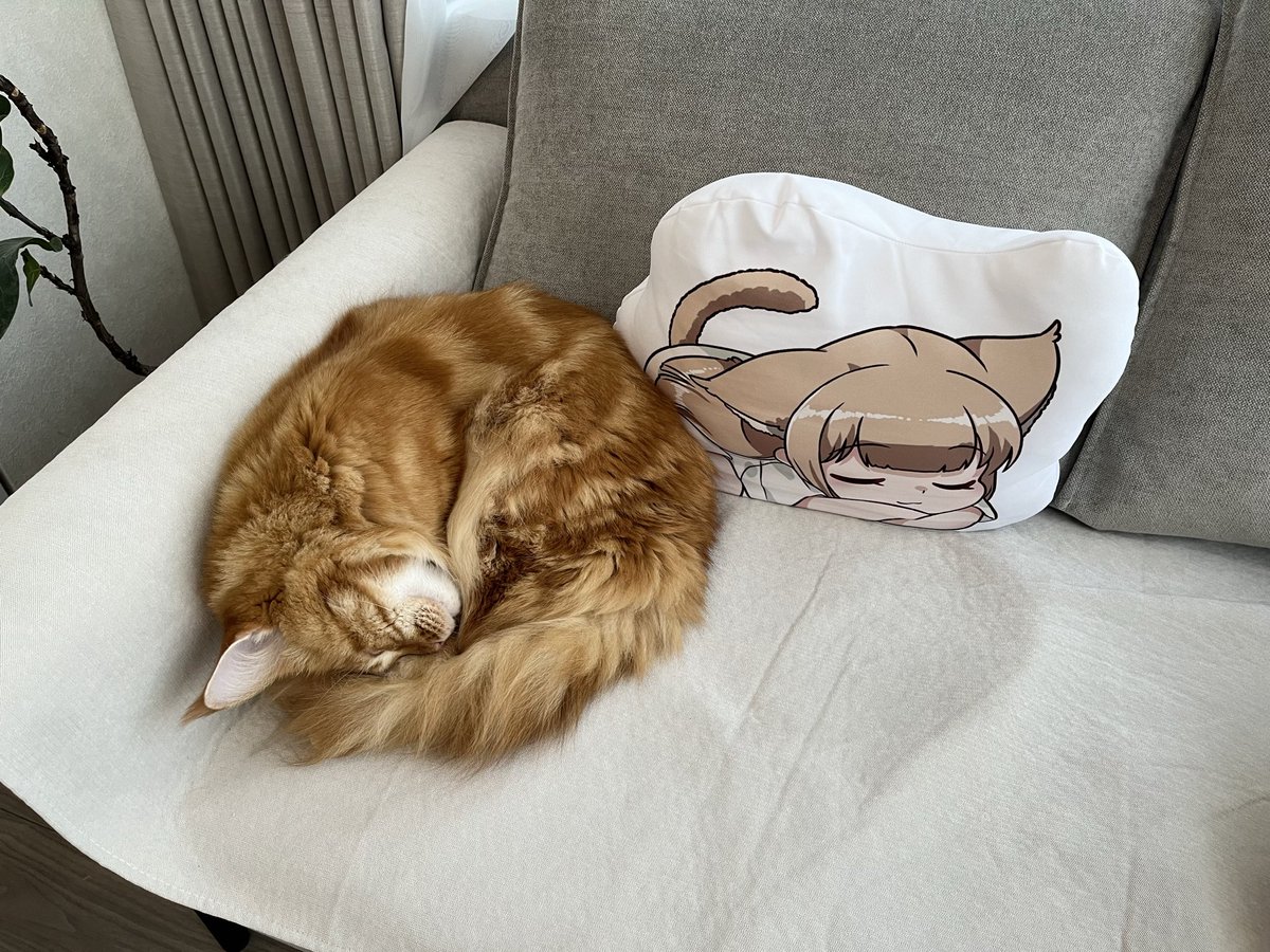 きなこ@OsakanaNeko (@kinako_osakana) / Posts / X
