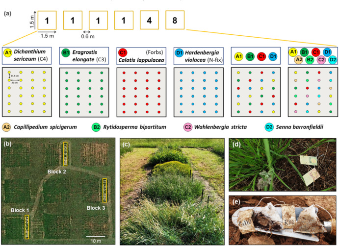 Prof Brajesh Singh tweet media