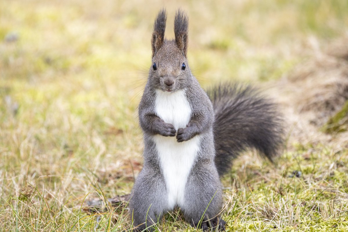 Canonさんから新しく出たEOS R6 Mark III をお借りして撮影してきまし