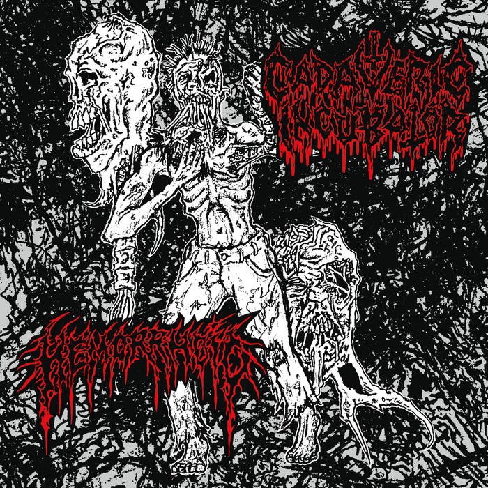 KMANRIFFSMetal's tweet photo. FULL FORCE FRIDAY:🆕December 12th 5⃣8⃣🎧
CADAVERIC INCUBATOR / HEMORRHOID - Split EP 🇫🇮 🇺🇸💠
5 Track Split EP from Finnish/U.S Death Metal/Grindcore outfits💠
BC➡️https://t.co/9TPBCKnijS💠
#CadavericIncubator #Hemorrhoid #Death #Grindcore #FFFDec12 #KMäN https://t.co/JAuS4MzGGs