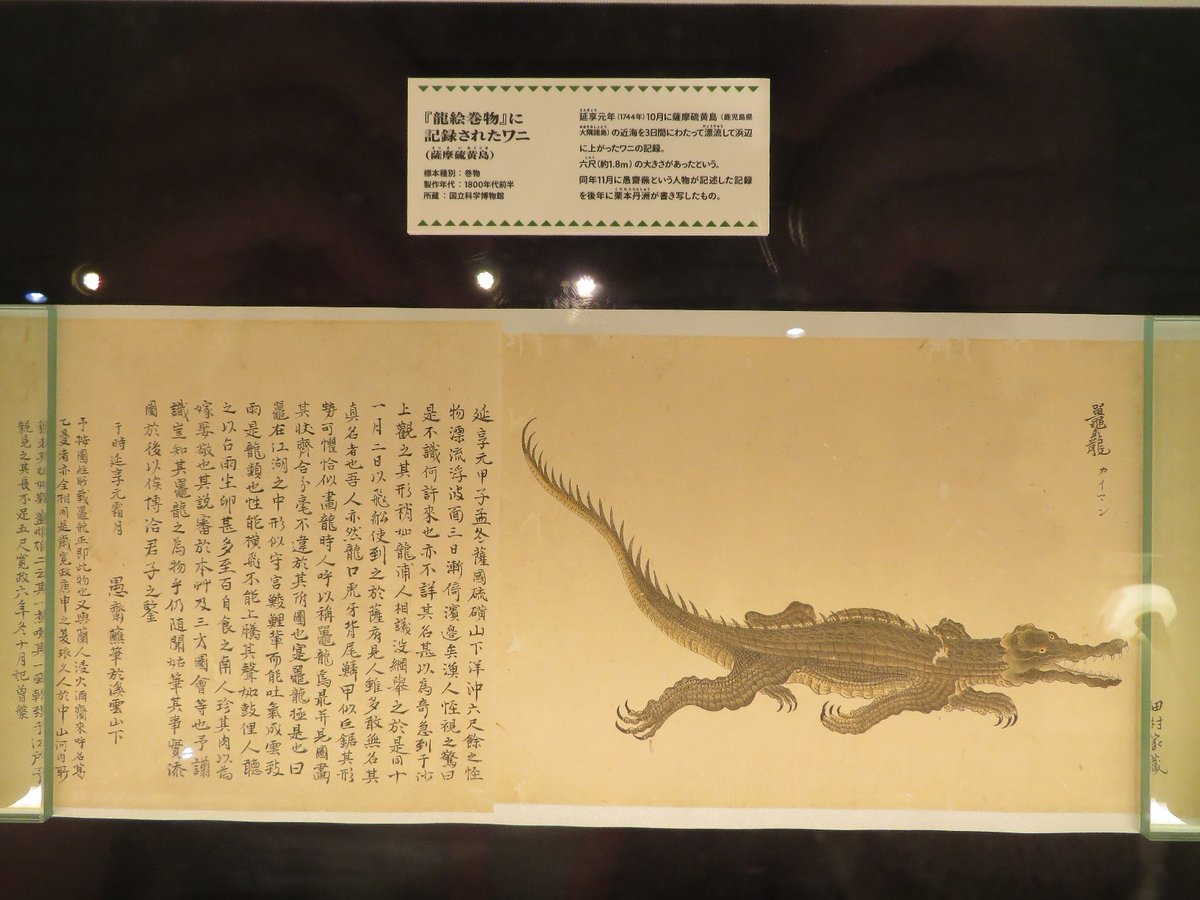 Asa (@Asa_dinoclub414) / Posts / X