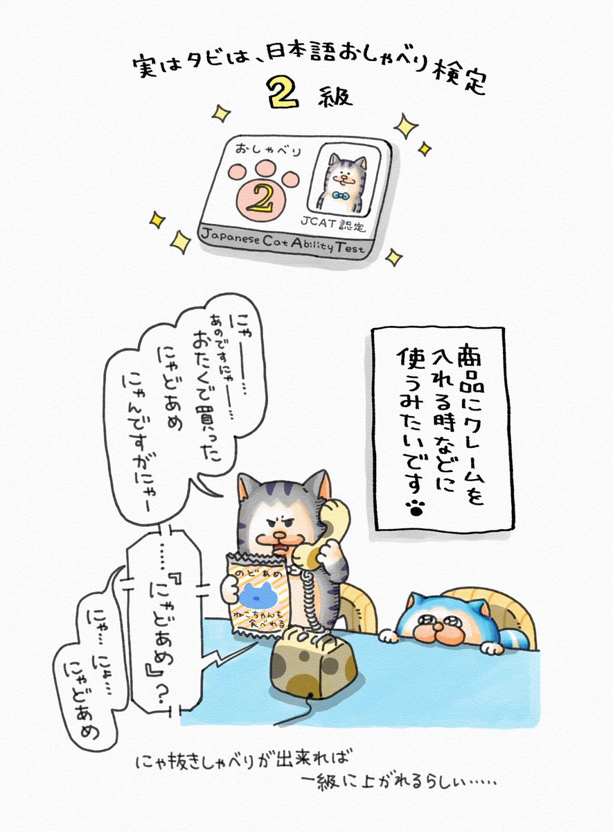 まめこ　ページ 81uS7fc8zfL._UF350,350_QL50_.jpg