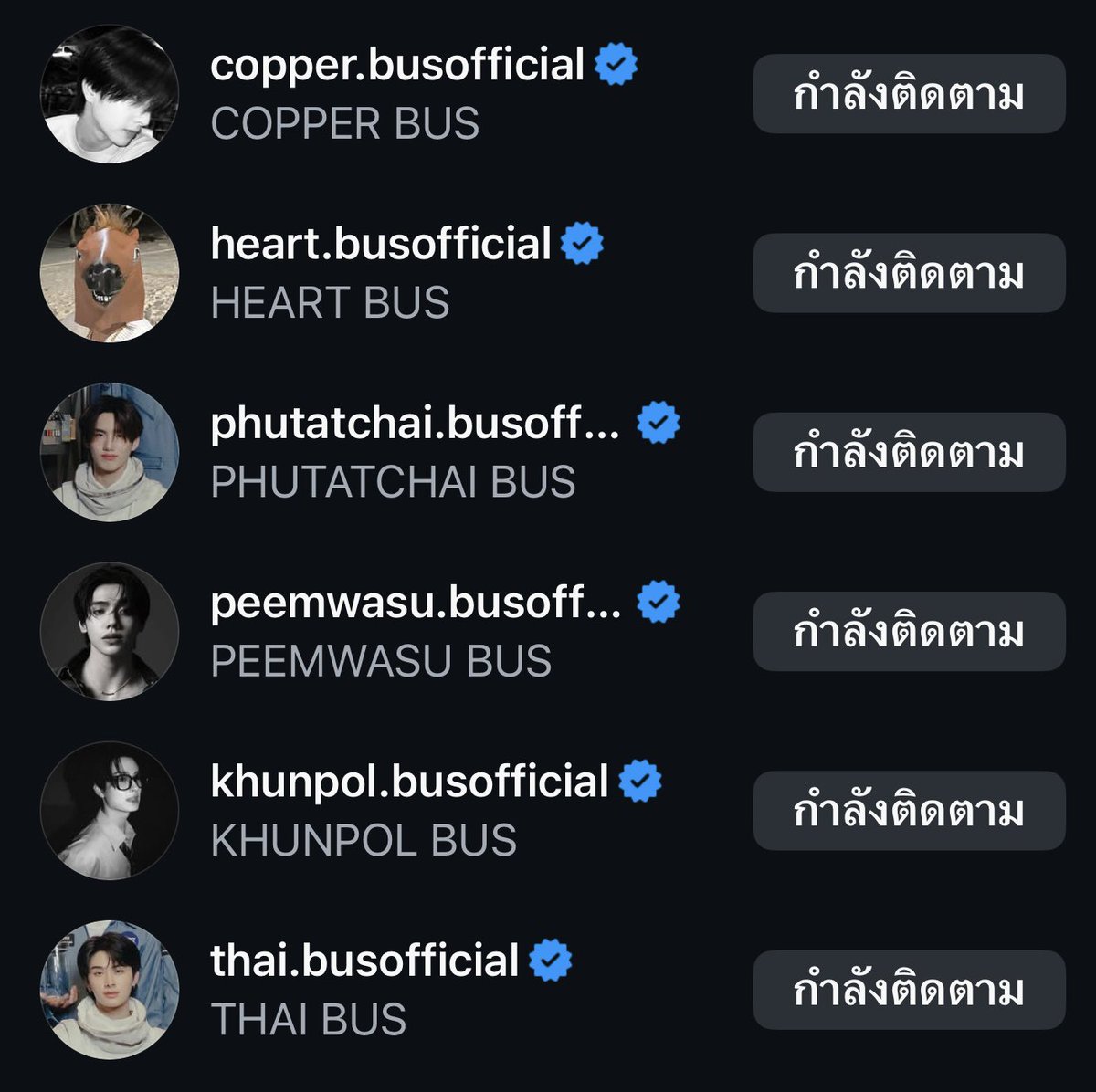 Rami__24raim's tweet image. วงบัสมีม้าด้วยหรอคะ🥹