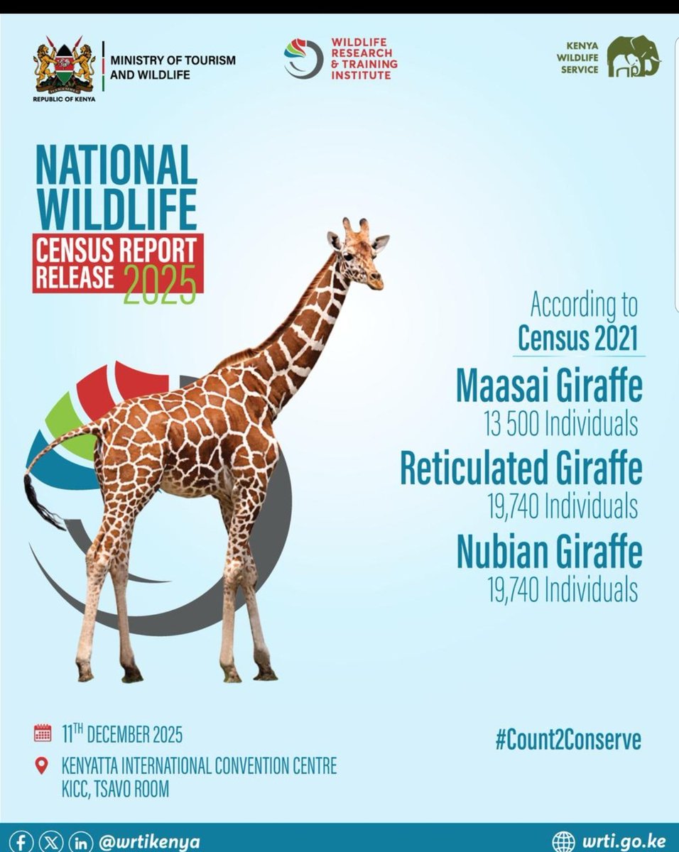 iLnico4real's tweet photo. Scientific data is the foundation of Kenya’s Bottom-Up Economic Transformation (BETA) in the environmental sector. Wildlife numbers guide budgeting, policy, tourism, and ecosystem health. Knowledge is power.
#Count2Conserve NationalWildlifeCensus2025 WildlifeCensus https://t.co/nJfYIoaPP3