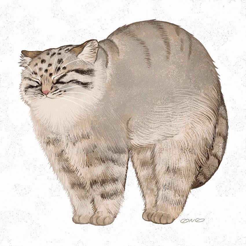 nekoe_onomai's tweet photo. #今年も残りわずかなので今年一番伸びた作品を貼る
まさかのマヌルぼにゃ https://t.co/ILuS82sa8H