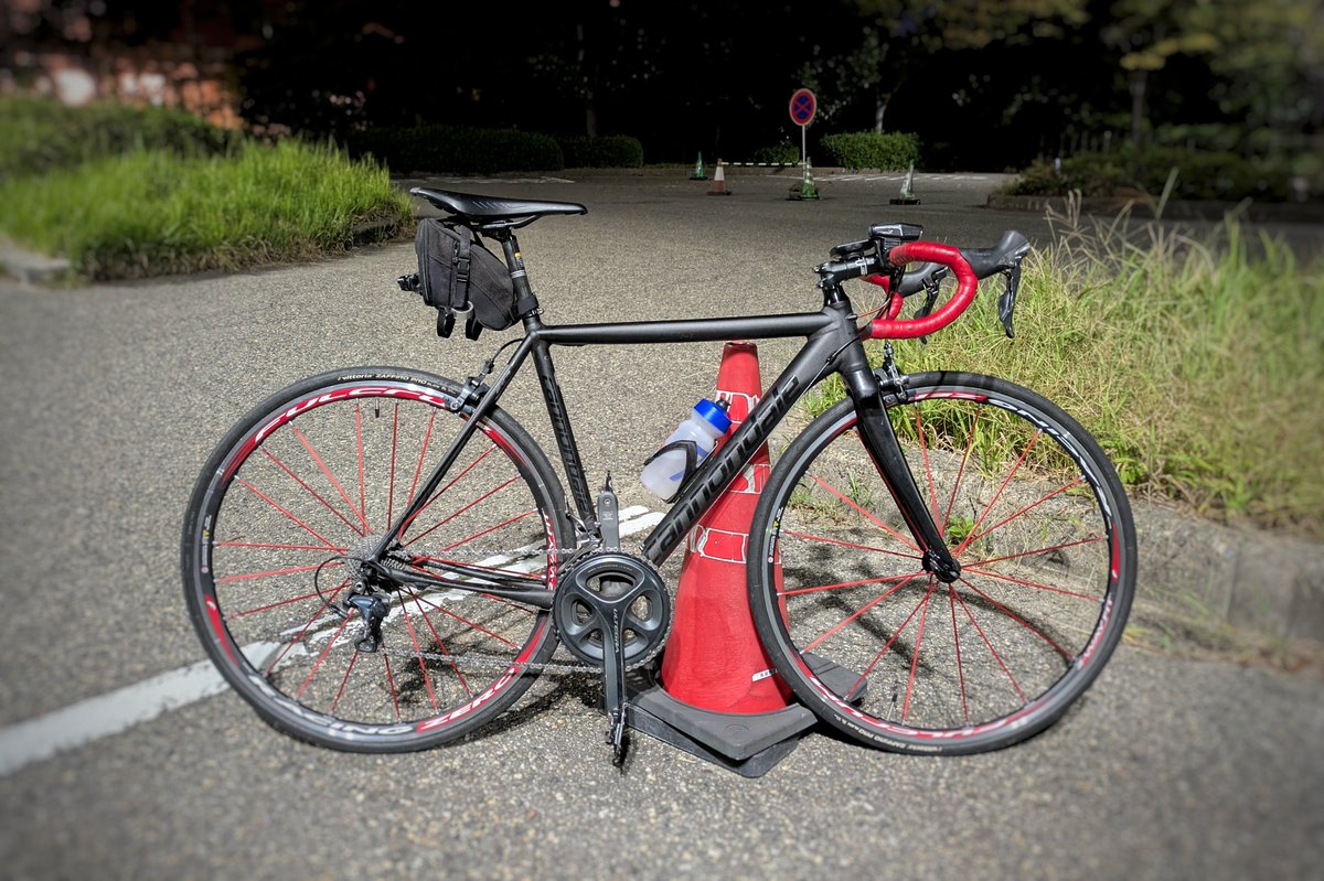 TANEX (@seasideline) / Posts / X