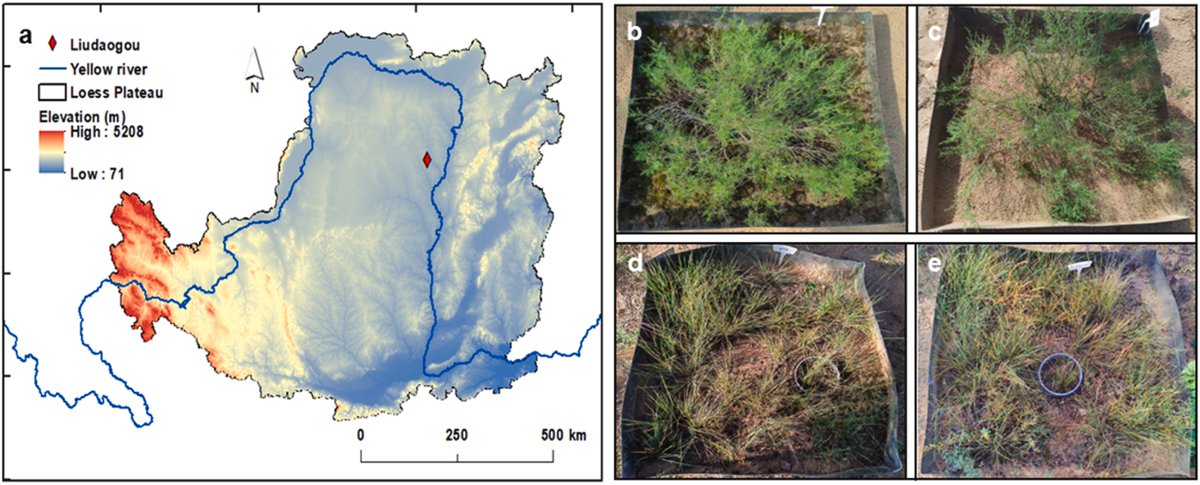 ManuDelgadoBaquerizo tweet media