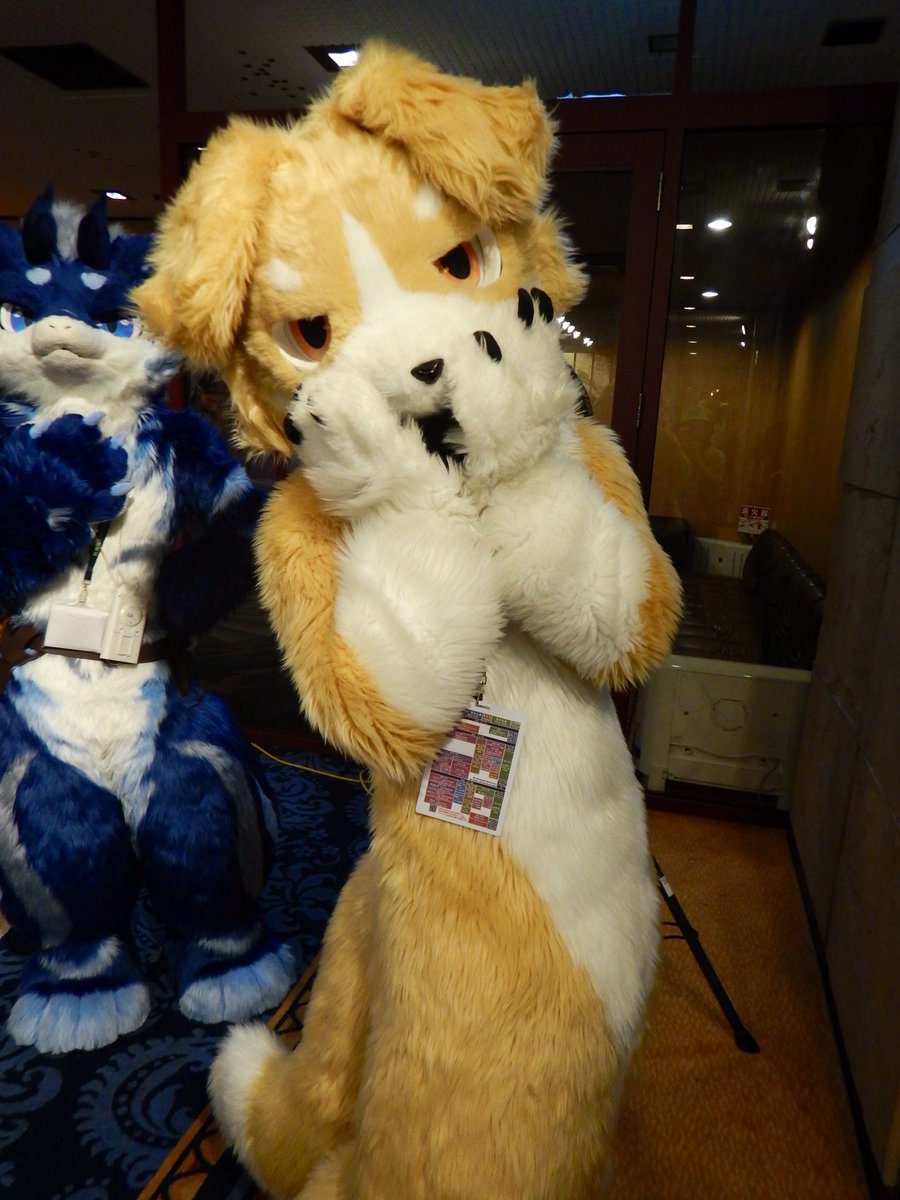 ホンマ可愛いこのわんこ #Kemocon18