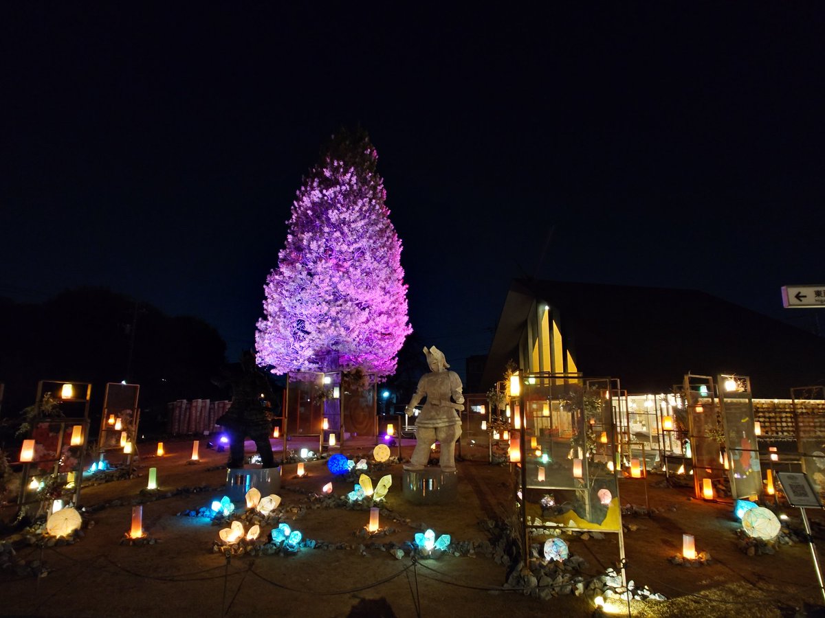 あきにゃん🐈 (@a_ki_nya_n) / Posts / X