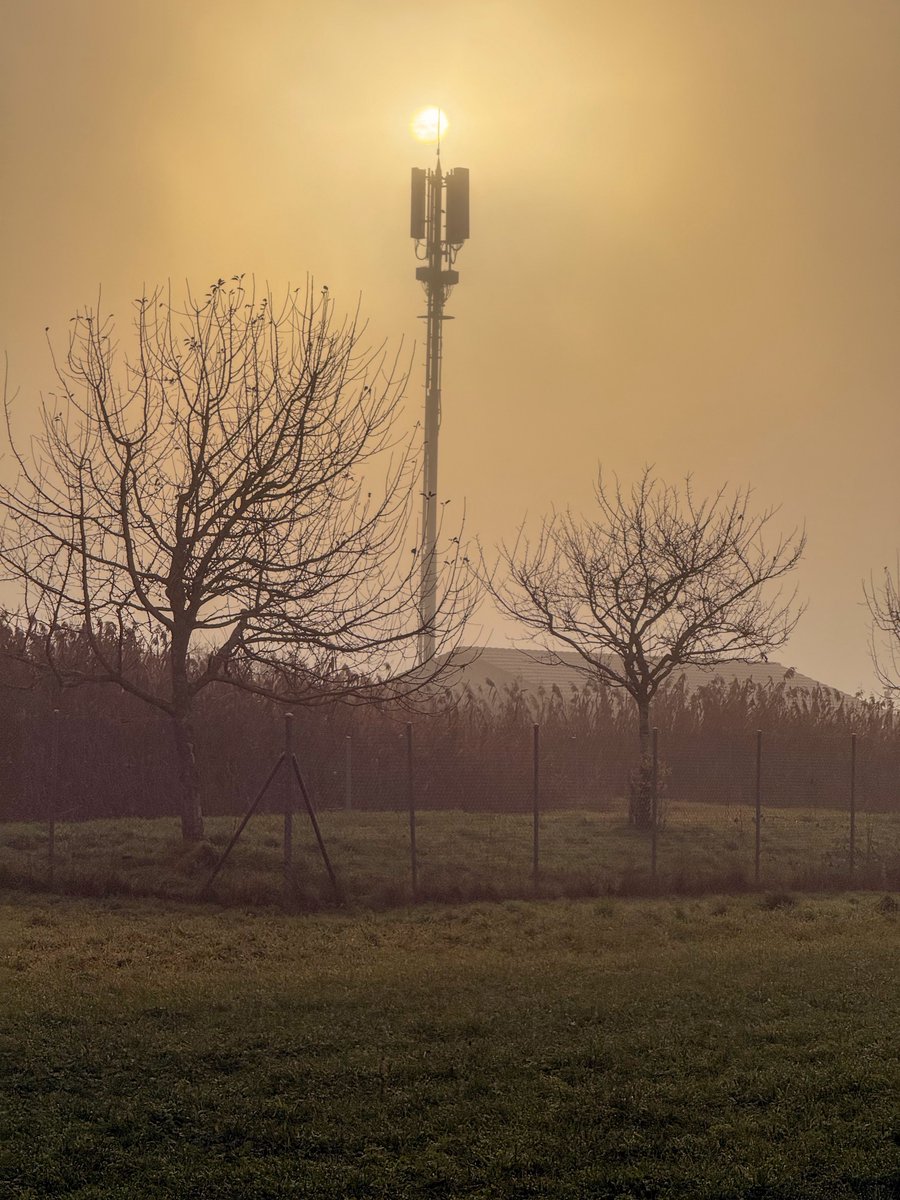 Joël Lepori tweet media