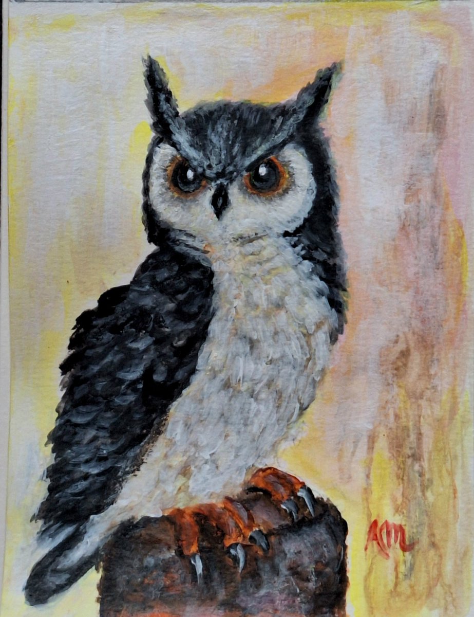 #owl #owls  #acrylicpainting #acrylic #art #artist #Kunst #original #miniature for <a href="/PAEartforacause/">POSTCARD ART EXHIBIT - Art for a Cause 🌏 🎨</a>