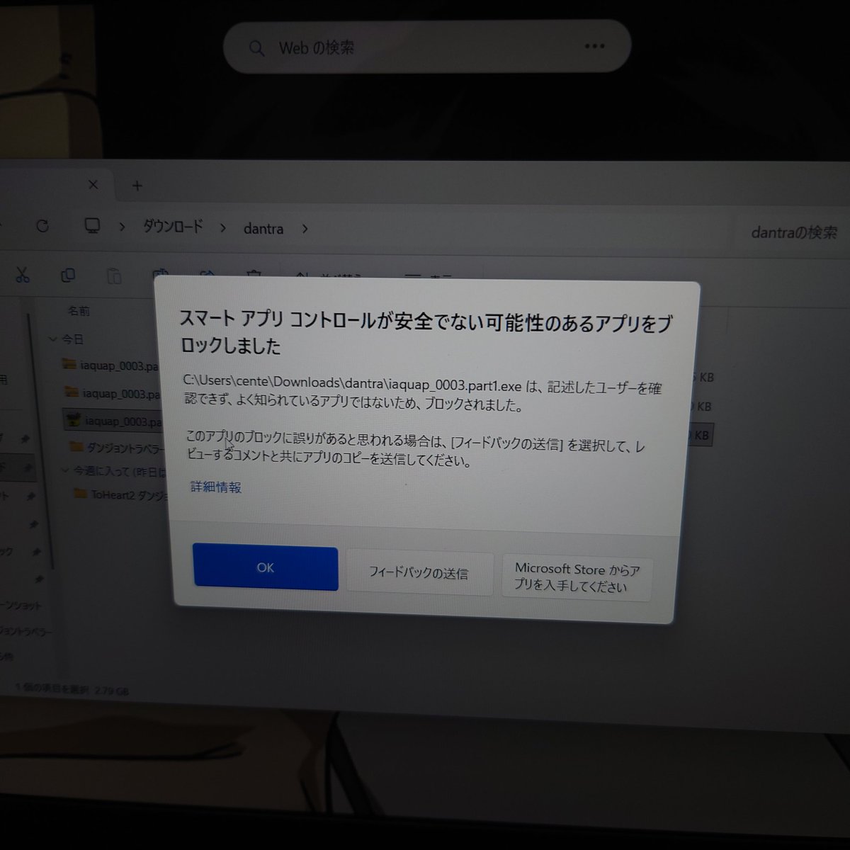 だぁぁぁ、何なんこれ DMMで買ったゲーム、こいつに邪魔されて
