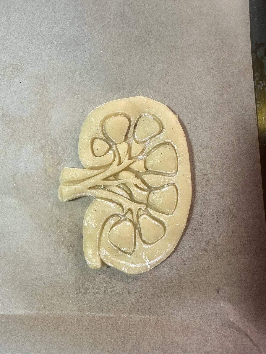 How much #uromodulin is in this #kidney?