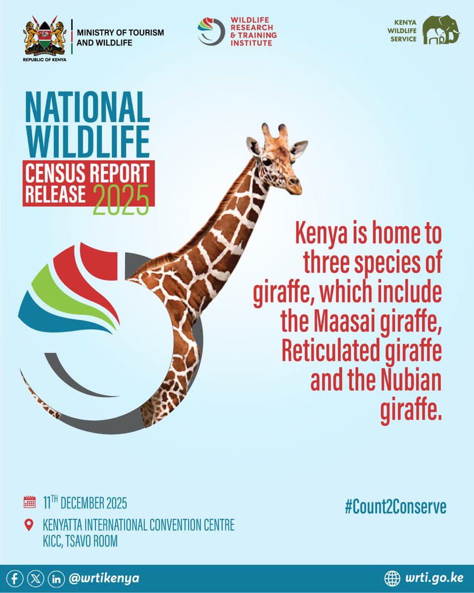 donoliver2000's tweet photo. For every tourist who visits Kenya, wildlife is the magnet. Protecting that magnet starts with the NationalWildlifeCensus2025. #Count2Conserve WildlifeCensus https://t.co/NYNS1cUbIm