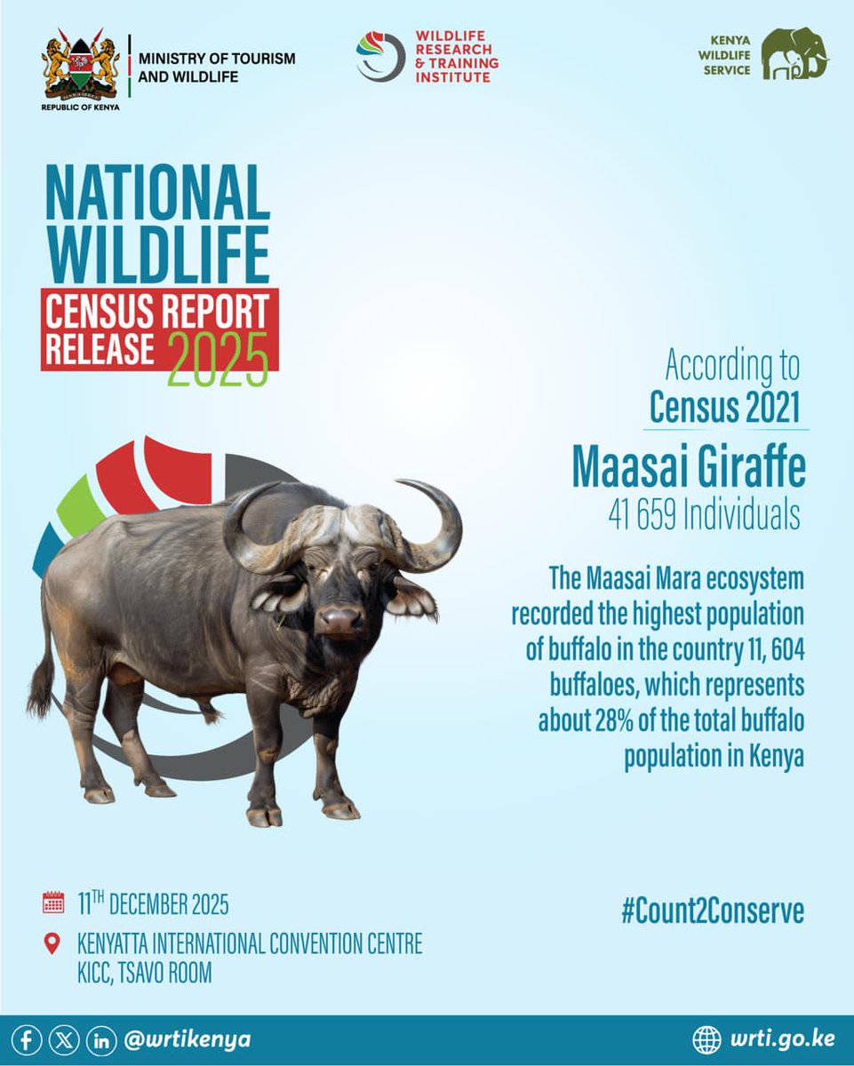 donoliver2000's tweet photo. For every tourist who visits Kenya, wildlife is the magnet. Protecting that magnet starts with the NationalWildlifeCensus2025. #Count2Conserve WildlifeCensus https://t.co/NYNS1cUbIm