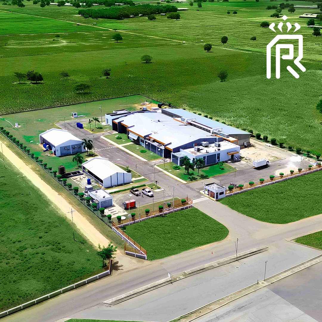 Royal Pas Reform tweet media