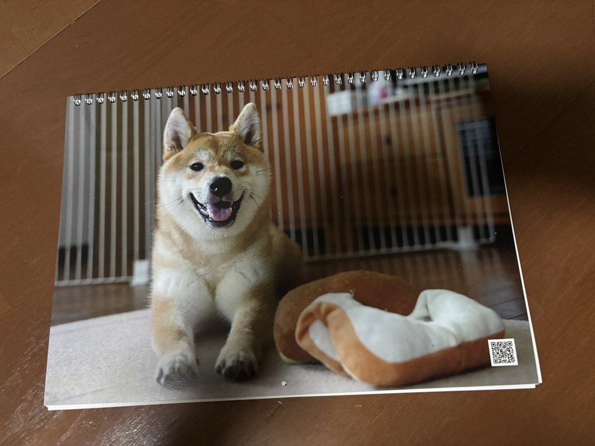柴犬こめ1歳 (@shibainukome) / Posts / X