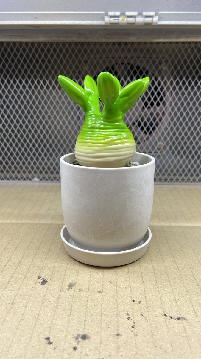 B-The-U🌱VAG3月中旬🌱 (@plantsBTheU) / Posts / X