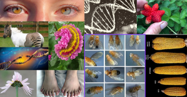 Nick Desnoyer tweet media