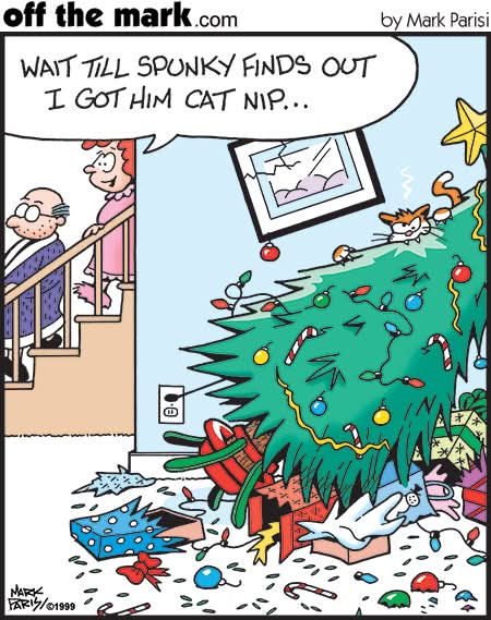 Damian_Quinn666's tweet image. Good Morning 
#christmastree
 #catnip