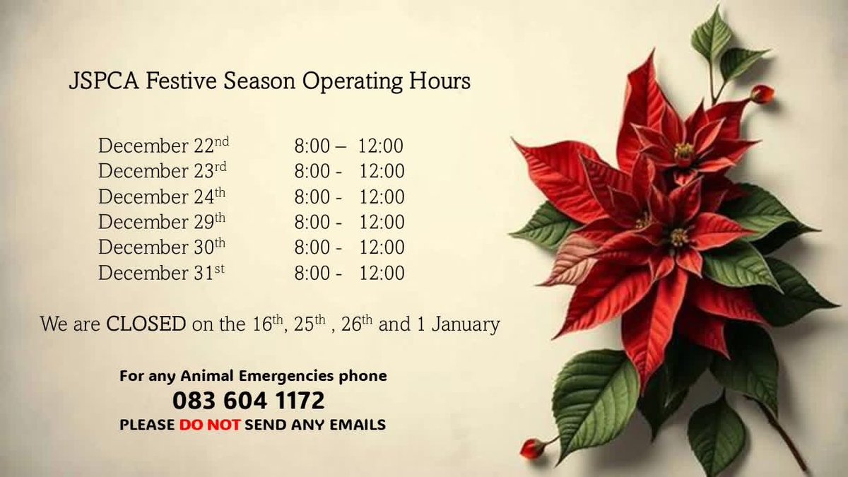 As 2025 comes to a close, we want to thank everyone of their incredible support, generosity, and kindness throughout the year. Your donations have made a real difference in the lives of so many animals who needed a helping hand. We wish you a peaceful &amp; pet-safe holiday season