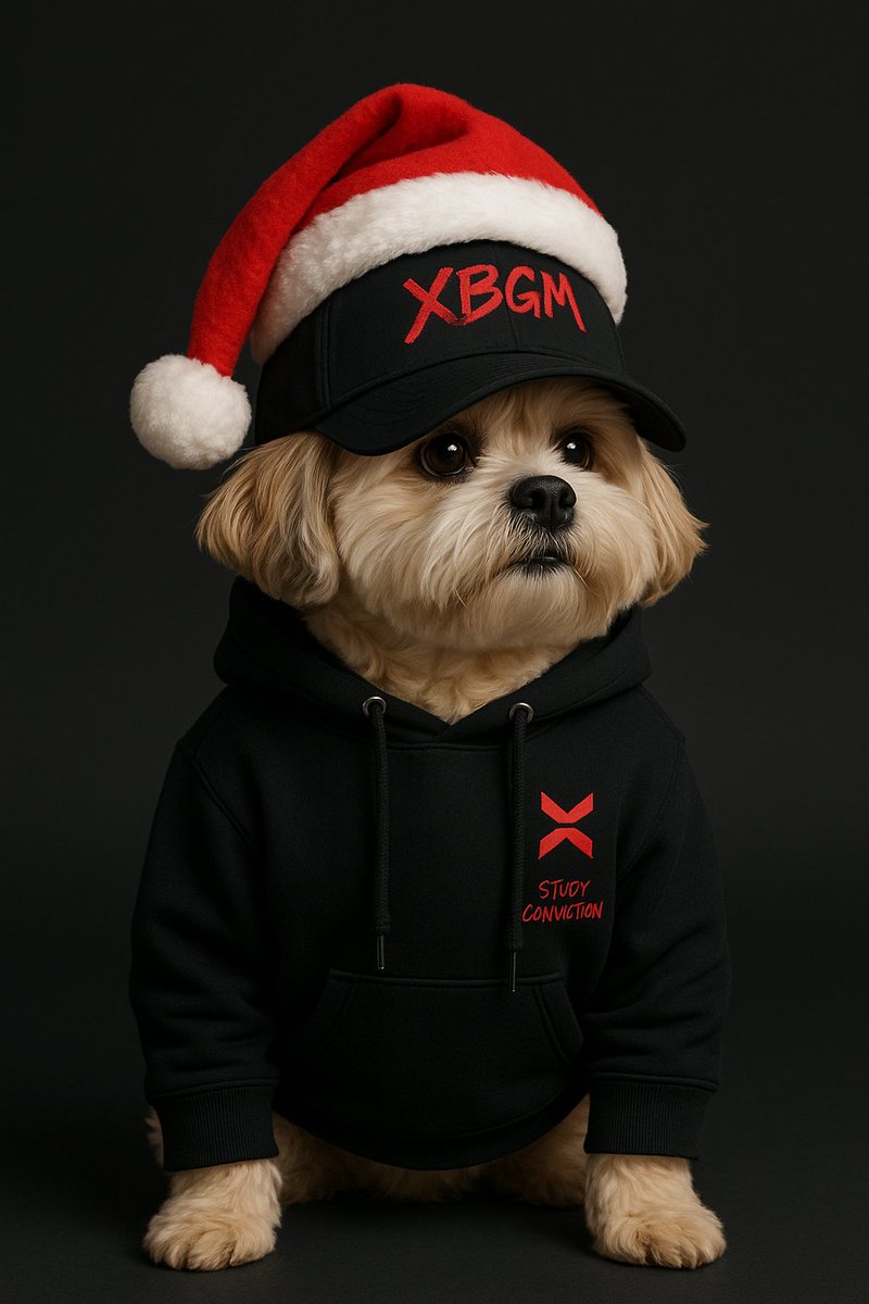 #XBorgChristmas #XBorgCommunity