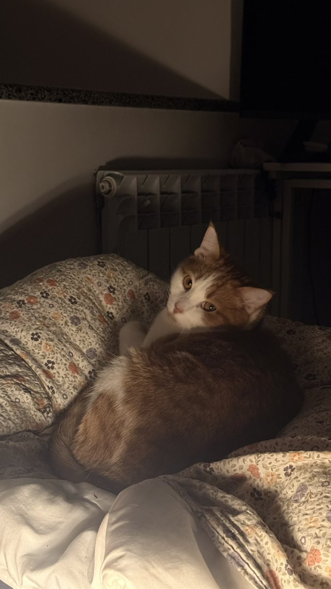 ви що, ще не задонатили???

send.monobank.ua/jar/4tUFrXxB76