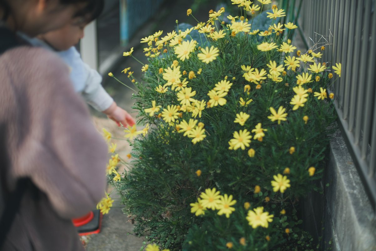seaflatphoto1's tweet photo. 明日は来ないかもしれないから
今日も家族を撮りました。 https://t.co/ZsyAEQmBhP