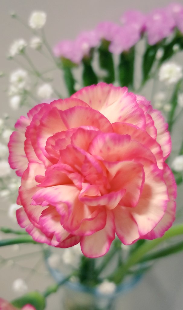 Maria⋆*❁*⋆ฺ（感謝） Mariaの 今日の幸せ🍀︎𓇬𓂂(♥Ü♥)↑↑ これ迄巡り逢えた方や お世話