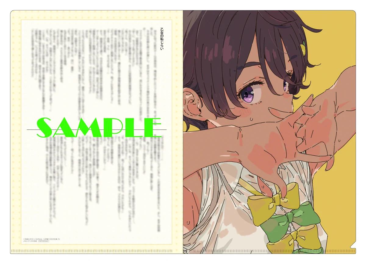 SS付きクリアシート 豊川堂 特典 負けヒロインが多すぎる！ ARTWORKS G74VNPdbgAAL8GE?format=webp&
