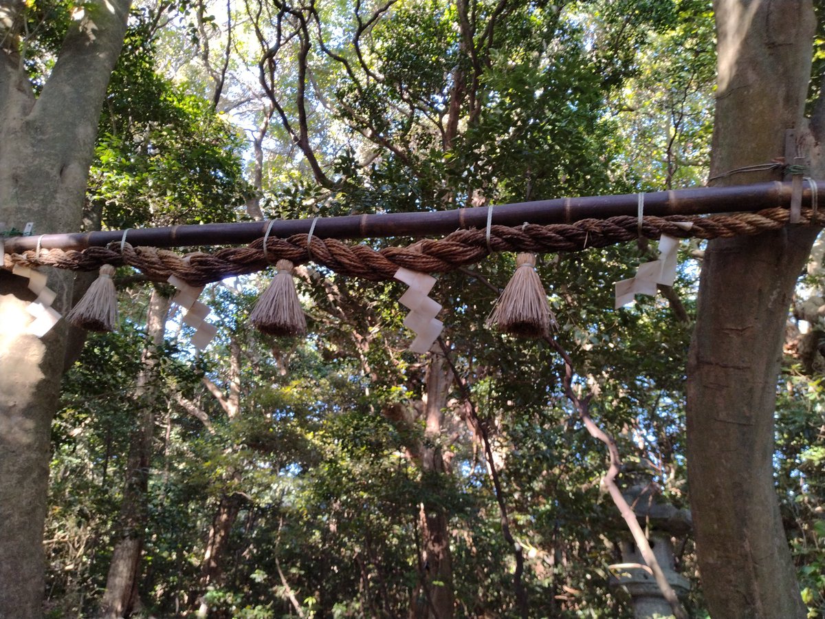 この二本の自然木の間に竹を渡して注連縄を張ったものも鳥居の一種なのだろうか？
少なくとも注連縄が神域を区切っているので、鳥居の役割を果たしているのは間違いないかと
場所は嶺北にある雄島の大湊神社に続く参道となります
島の入口には石の鳥居があったのに、更に神域を区切っているようでした