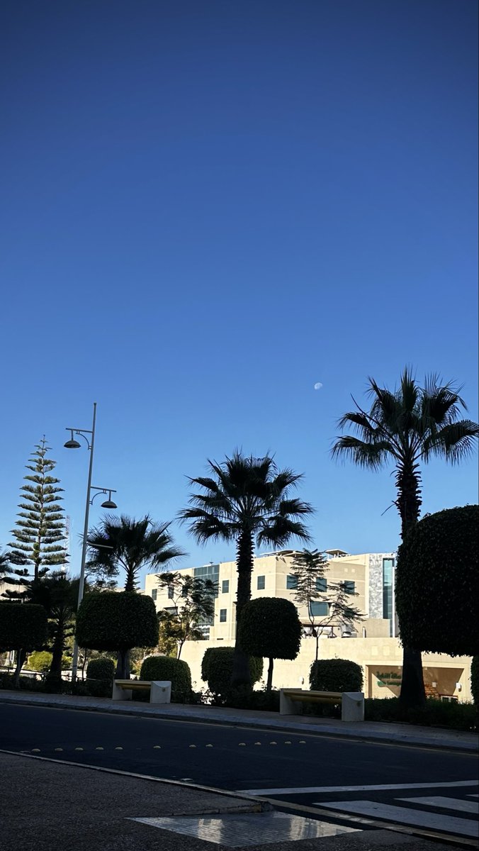 د.جَنى tweet media