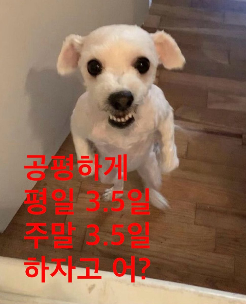 드립짤모음 (@ee_drip) on Twitter photo 