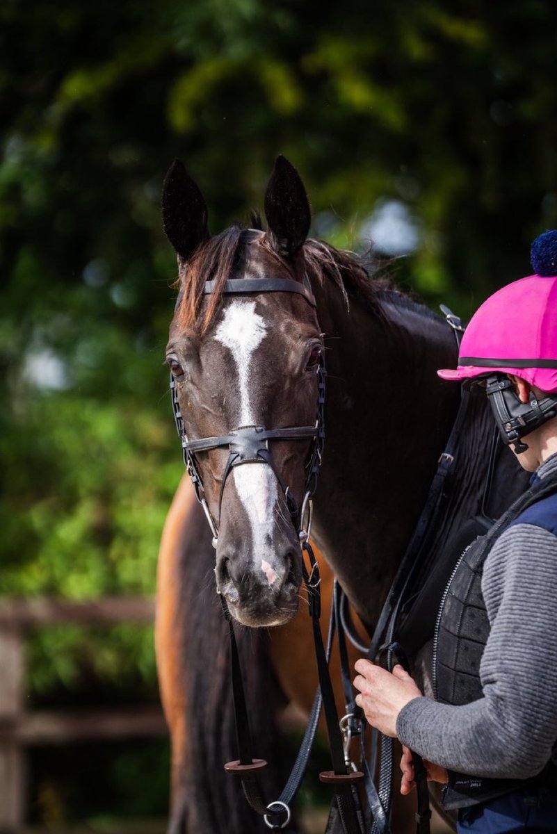 FOBRacing's tweet image. We also run Is This For Real, Run Away Joe (pictured) and Brave Move @TauntonRacing