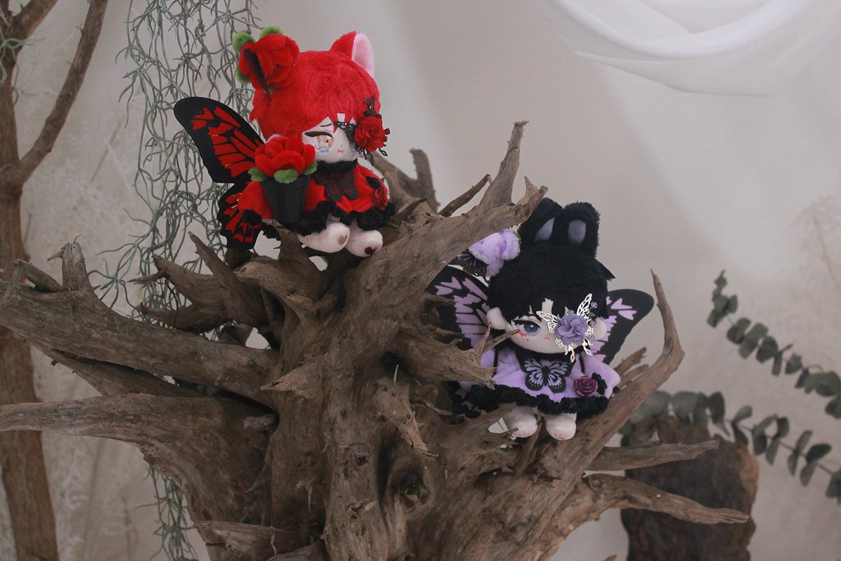 🦋블랙플로즈 X 라비앙로즈🌹 
울먹유딘이랑 밀키래빈 🐱 🐰 
#울먹울먹유딘 #밀키래빈 
#향씨솜깅사진