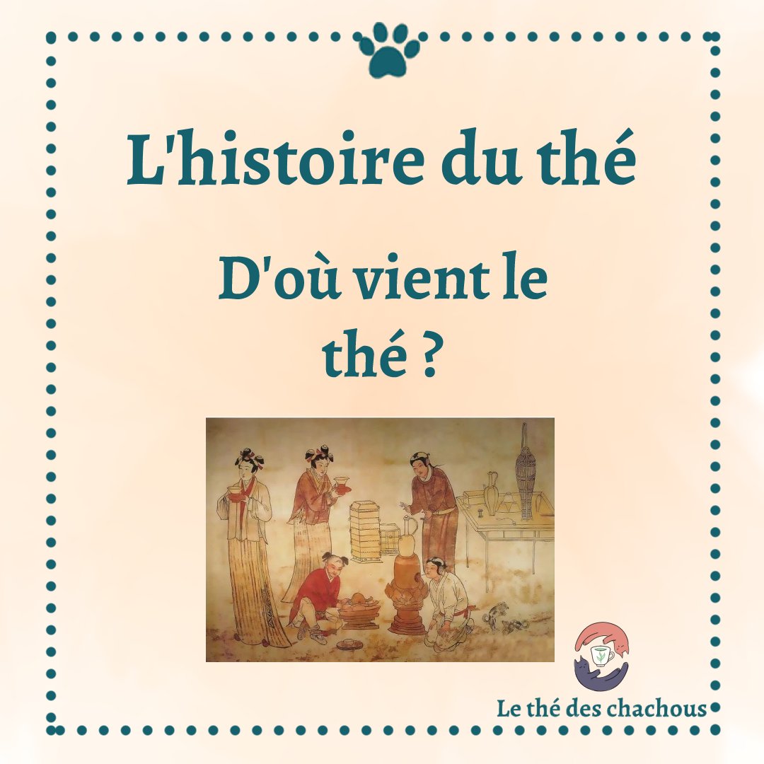 Thedeschachous's tweet photo. Que connaissez-vous de l'histoire du thé ? Si ce petit avant gout vous a intéressé, n'hésitez pas à consulter notre article plus complet à ce sujet !
https://t.co/RP3MOVk1Jk https://t.co/7Fxy4yDrzs