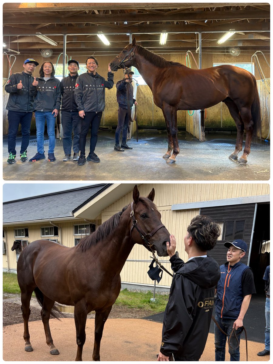 donfrankie

オーナーの『ドン待て✋️』に、素直に待つドンちゃん🐴が可愛い🥰

#ドンフランキー