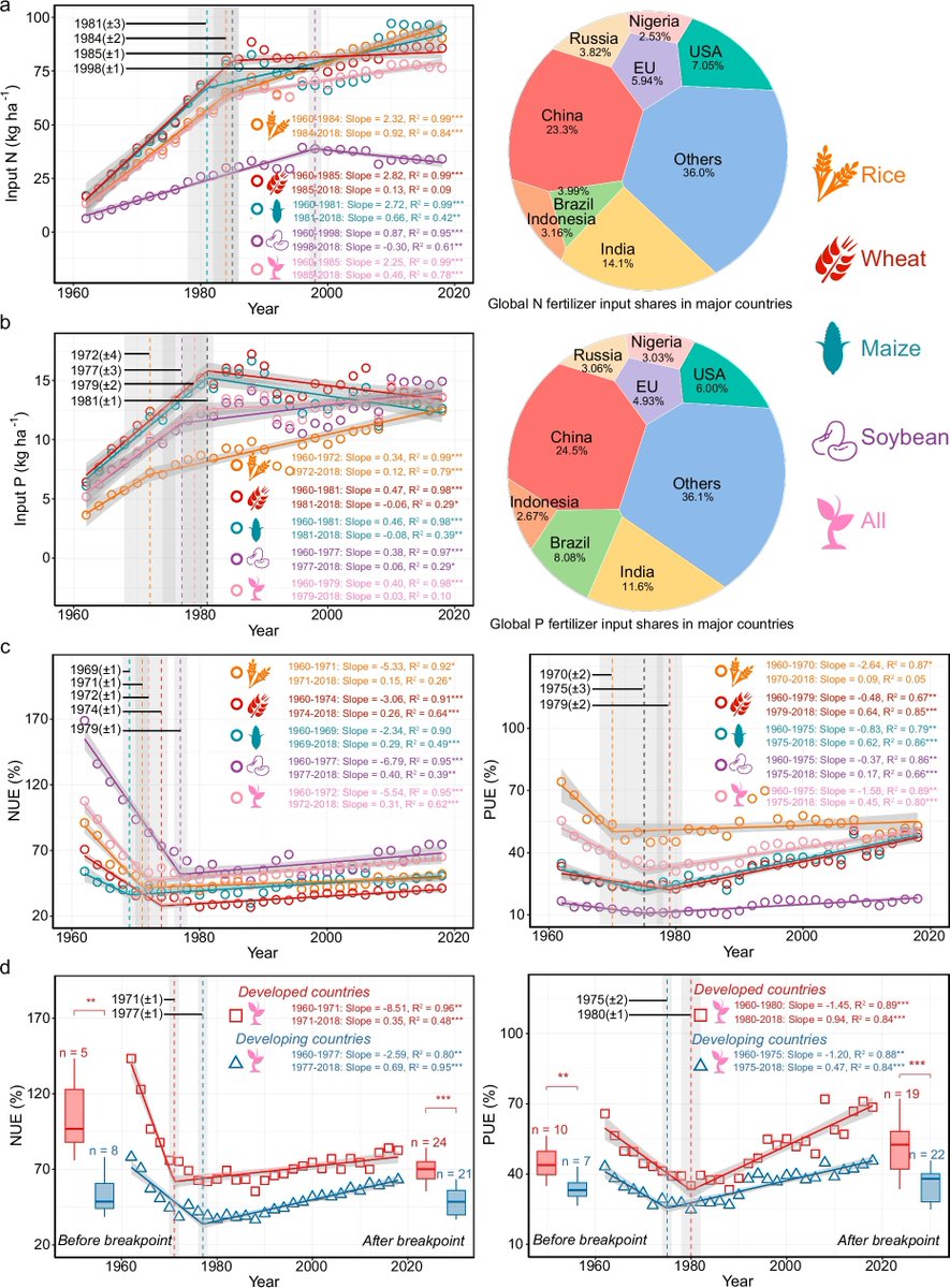 ManuDelgadoBaquerizo tweet media