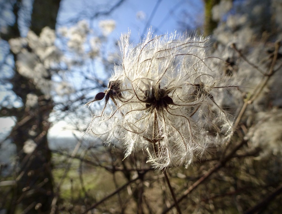 RIO (@ritakleeb) on Twitter photo 