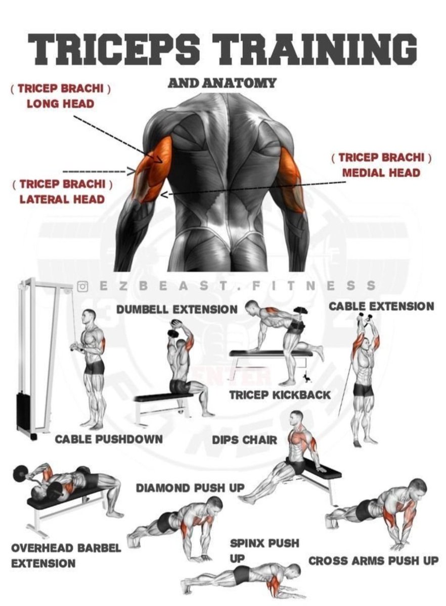 Unlock bigger arms:
The triceps make up 2/3 of your upper arm mass. Focus on all 3 heads with these moves.. long head loves overhead extensions💯