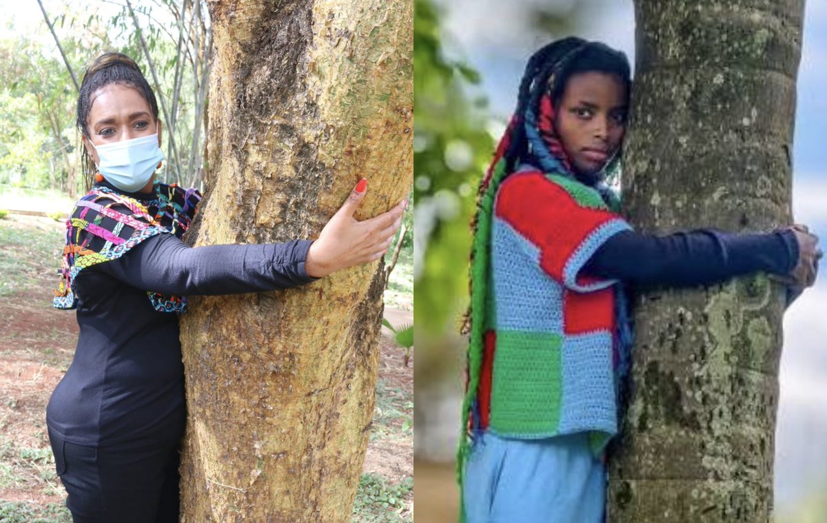 Esther Muthoni Passaris tweet media