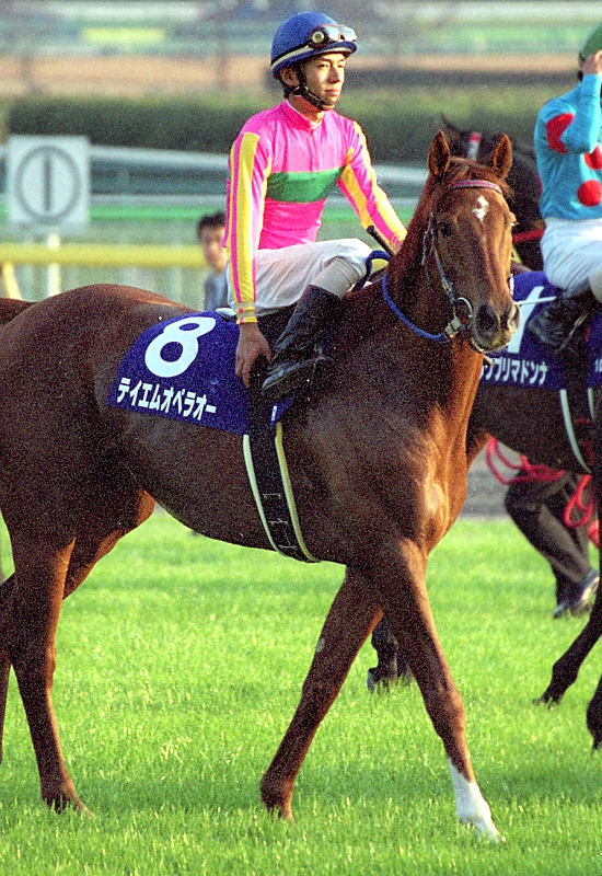 テイエムオペラオー