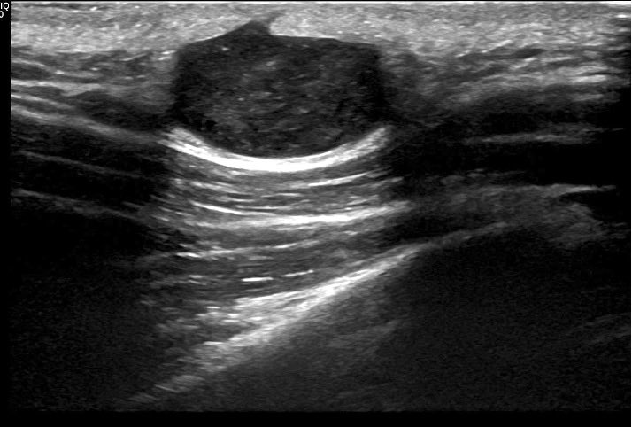 James Noake tweet media