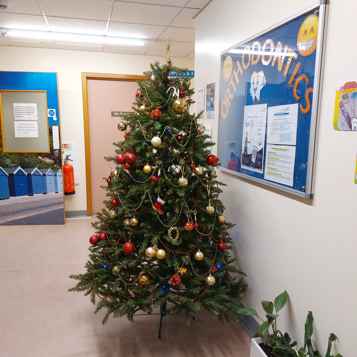 University Hospitals Dorset NHS Foundation Trust tweet media