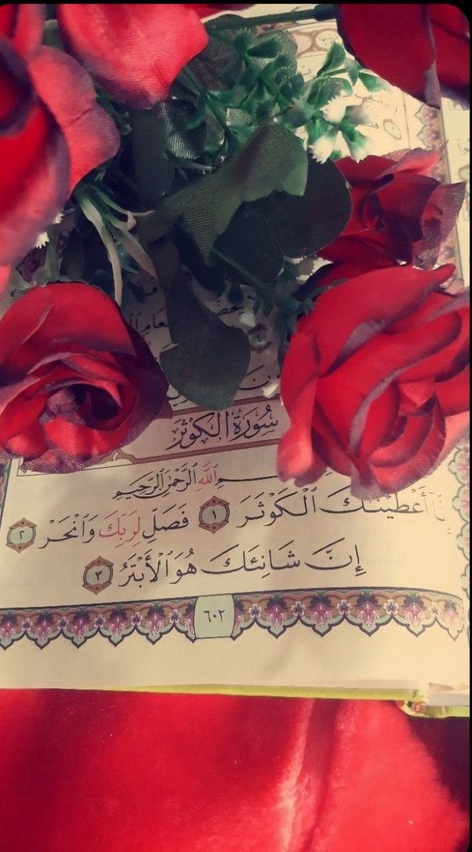 tajamulmugloo's tweet photo. اَلسَّلامُ عَلَيكِ أَيَّتُهَا الحَوراءُ الإِنسِيَّةُ".
💐ولادة السيدة فاطمة الزهراء (عليها السلام) 
Congratulations to the Muslim world on the 
The birth anniversary of the Leader of all the women of Paradise ~ 
SAYEDA FATIMA AL- ZAHRA  ( عليها السلام). 🌠
#فاطمة_الزهراء https://t.co/nfXaTdgY4M
