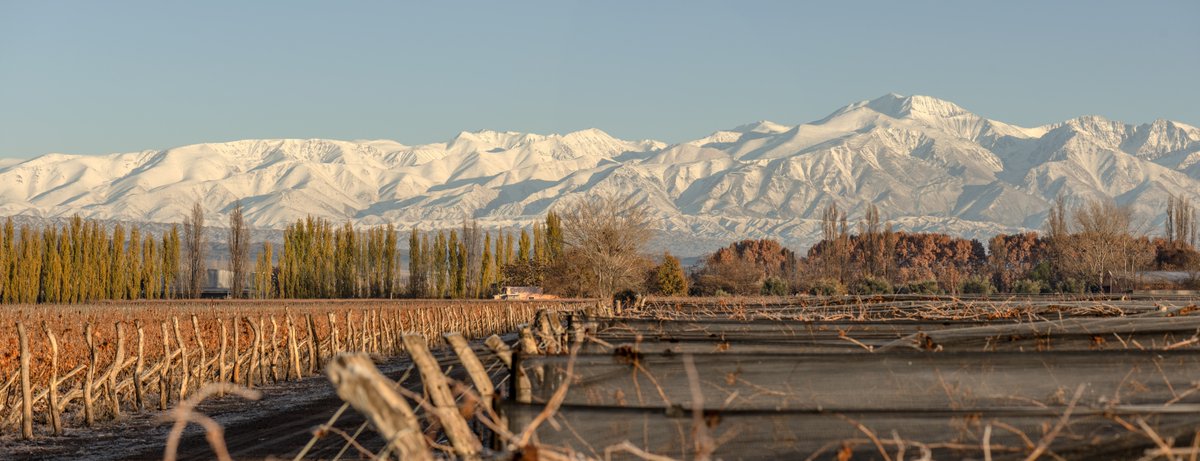 Michel Rolland y el futuro del vino - mailchi.mp/8812348ca3a8/n…